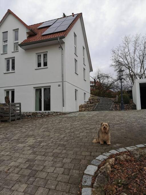 Apartamento RAuszeit Nittendorf Exterior foto